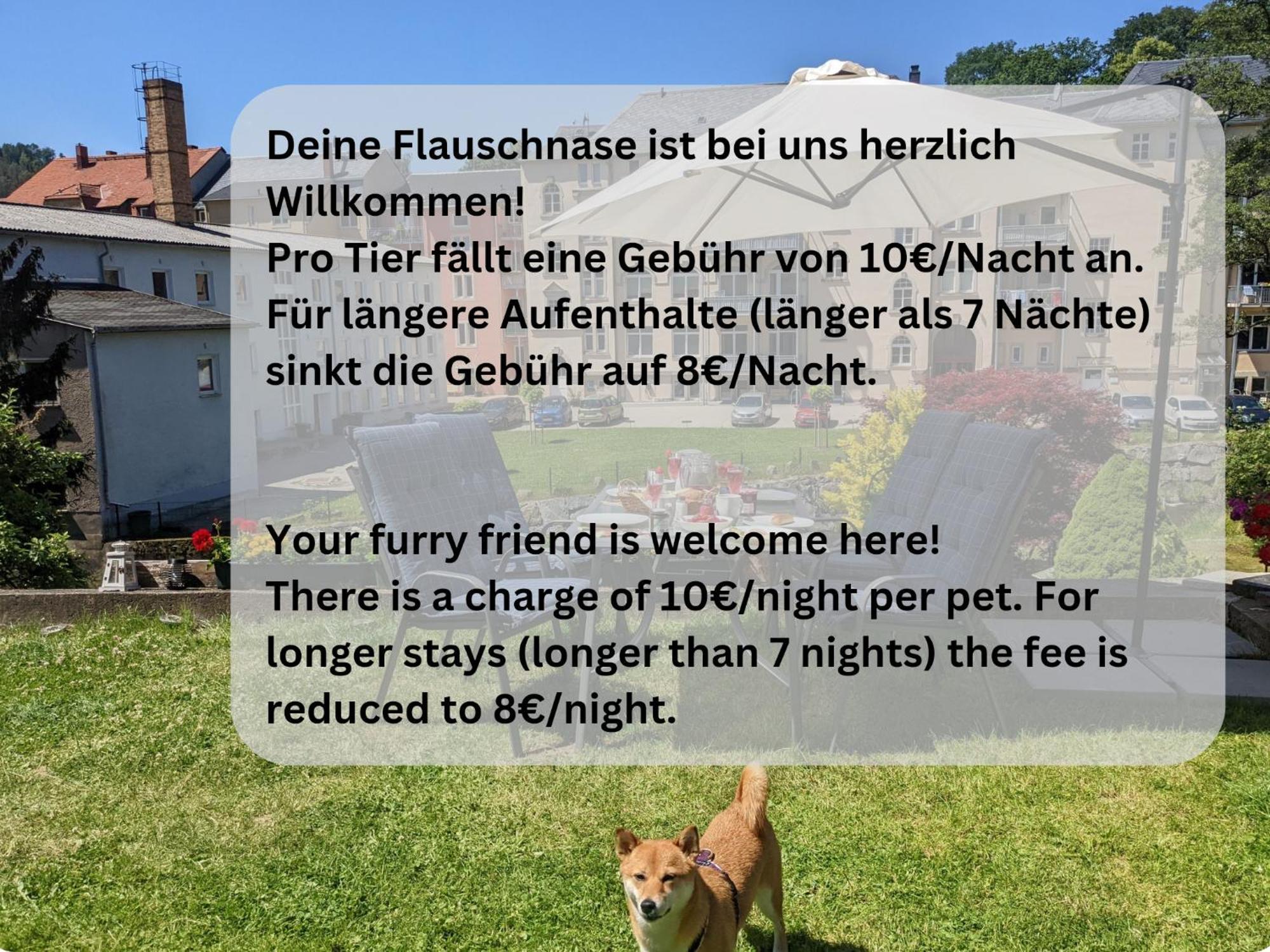 Hw4B - Urlaubsmagie - Zentral Mit Gemeinschaftsgarten, -Pool, -Sauna & Whirlpool Sebnitz Exterior foto